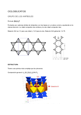 Anfiboles-filo-y-tecto-Parcial-III.pdf