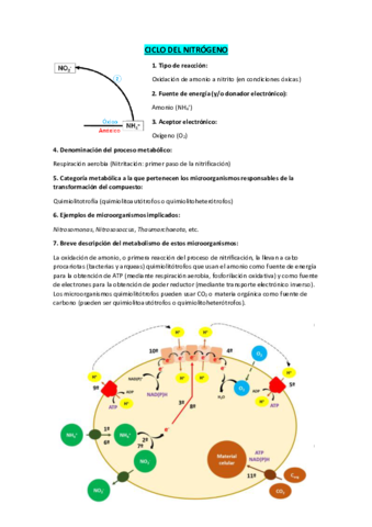 ciclos-micro.pdf