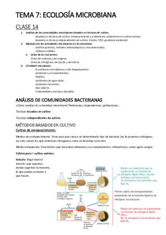 clase-14-tema-7.pdf