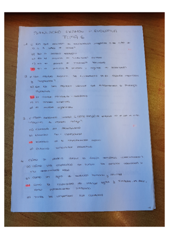 SIMULACRO-DE-EXAMEN-TEMA-6.pdf
