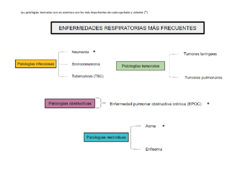 Esquemas-patologias-importantes.pdf