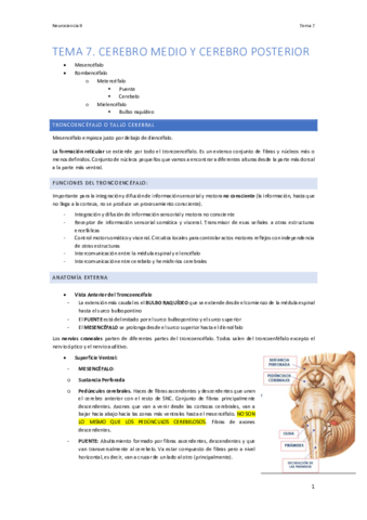 tema-7.pdf