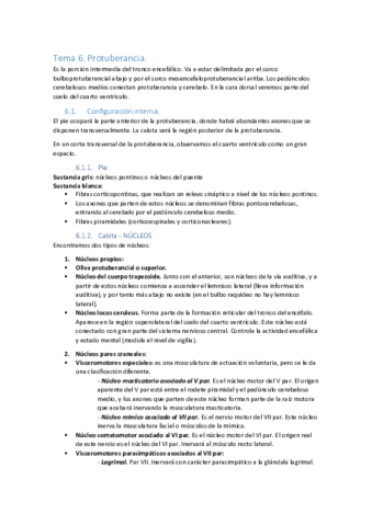 TEMA-6.pdf