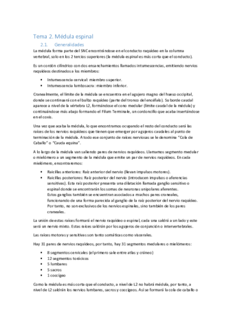 TEMA-2.pdf