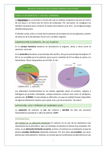 TEMA-4-y-5.pdf