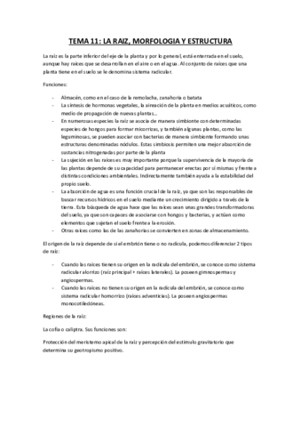 TEMA-11.pdf