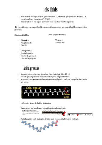 tema-3.pdf