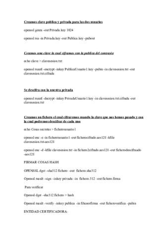comandossad.pdf