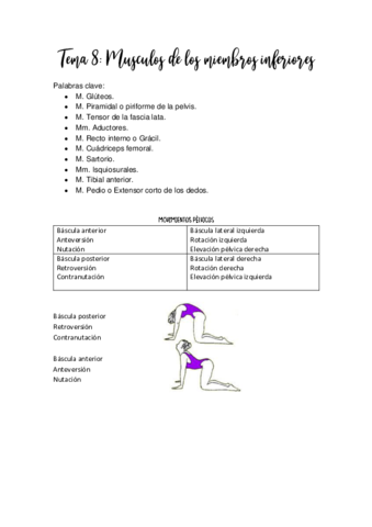 TEMA-8-MUSCULOS-DE-LOS-MIEMBROS-INFERIORES.pdf