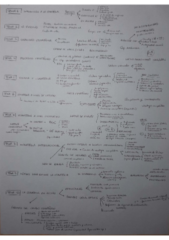 EDO-Esquema-final.pdf