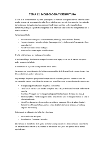 TEMA-12.pdf