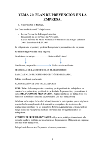 TEMA 27.pdf