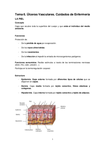 Tema-6.pdf