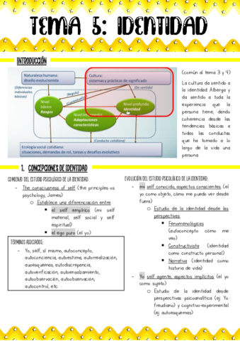 tema-5-COMPLETO.pdf