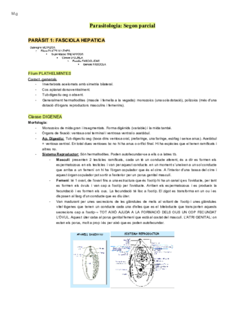 Parasito-tot-segon-parcial.pdf