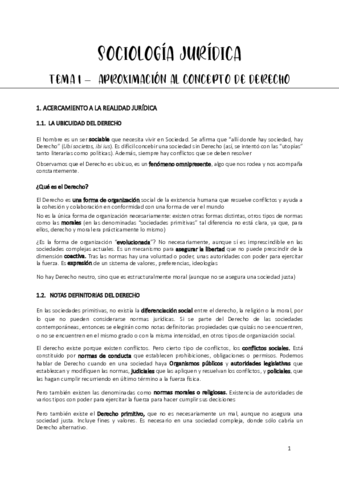 Sociología jurídica COMPLETO.pdf