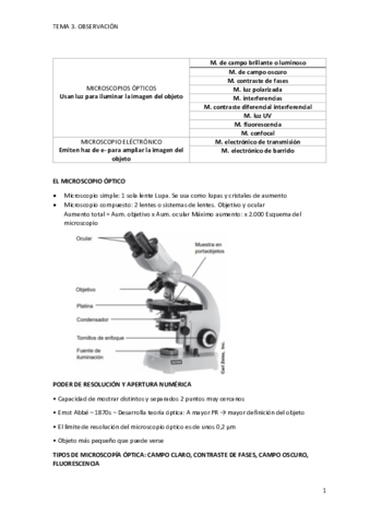 TEMA-3.pdf