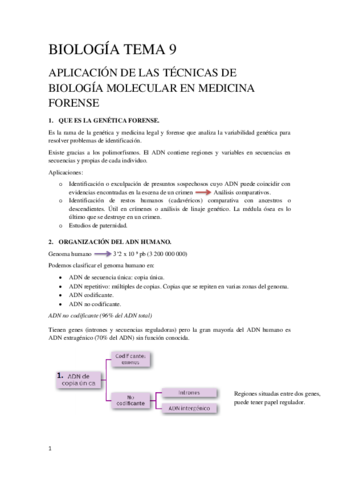 Tema 9 Biología Molecular y Citogenética.pdf