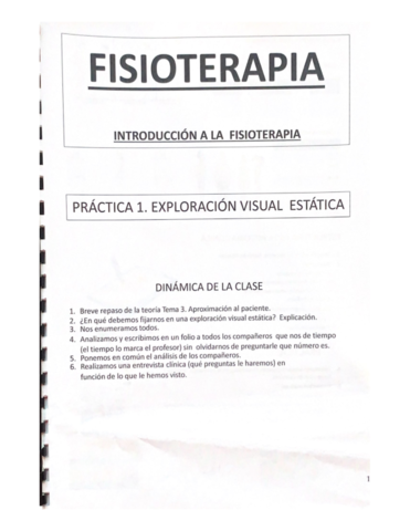 FISIOTERAPIA.pdf