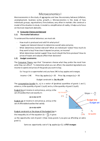 Microeconomics-I.pdf