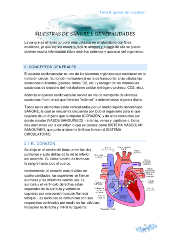 tema-6-generalidades-de-la-sangre.pdf