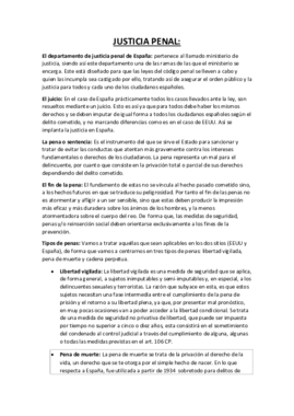 justicia penal apuntes.pdf