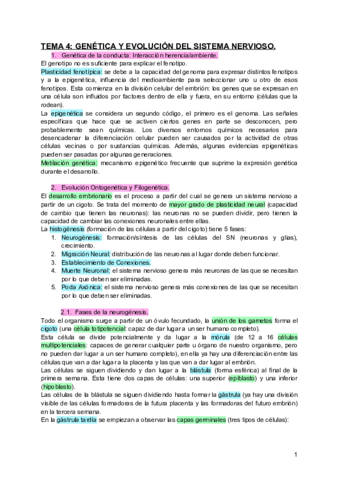 TEMA-4-GENETICA-Y-EVOLUCION-DEL-SISTEMA-NERVIOSO.pdf