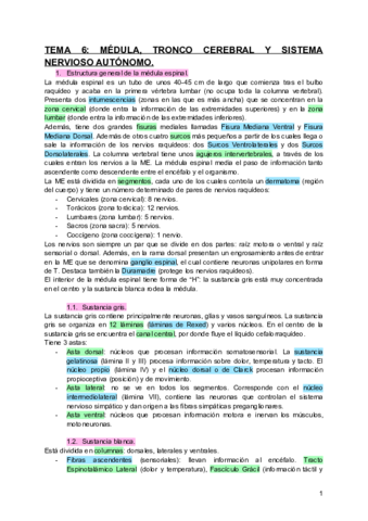 TEMA-6-MEDULA-TRONCO-CEREBRAL-Y-SISTEMA-NERVIOSO-AUTONOMO.pdf