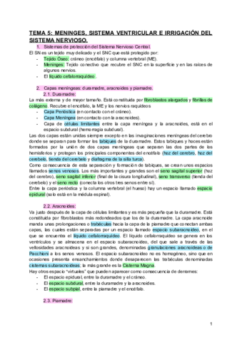 TEMA-5-MENINGES-SISTEMA-VENTRICULAR-E-IRRIGACION-DEL-SISTEMA-NERVIOSO.pdf