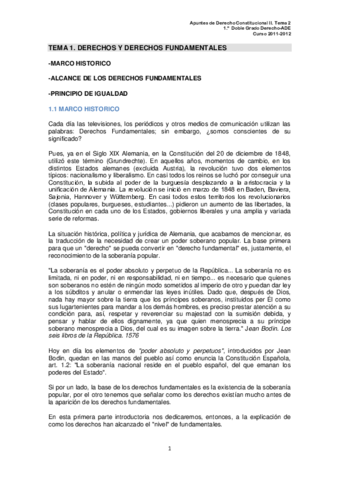TEMA 1.pdf