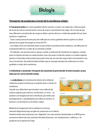 biologia-1.pdf