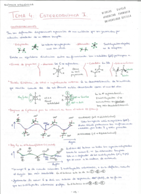 TEMAS 456.pdf