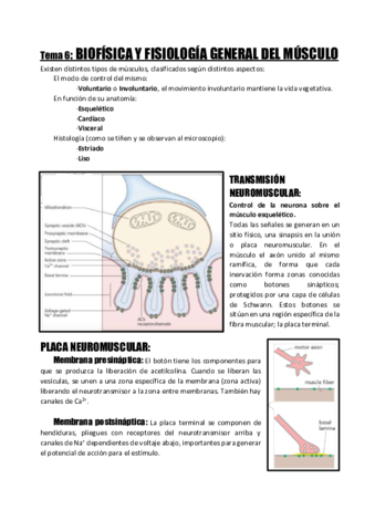 Tema-6-Biofisica-y-Fisiologia-general-del-Musculo.pdf