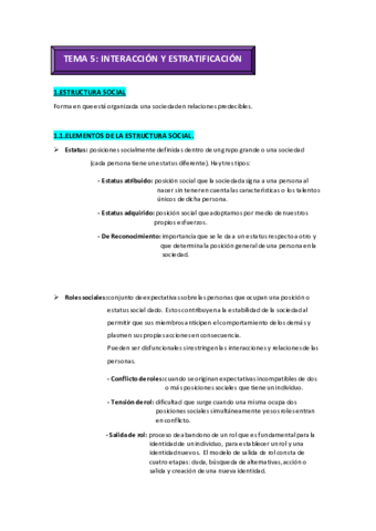 RESUMEN-T5-SG.pdf