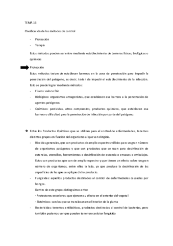 Tema-16.pdf