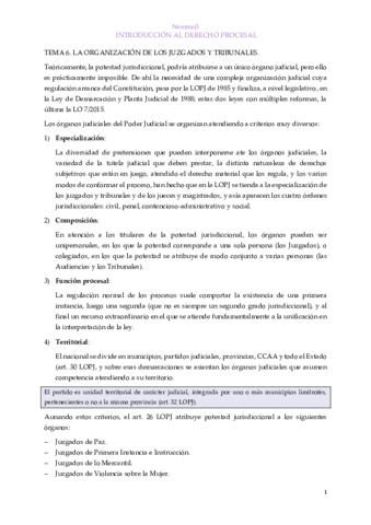 Tema-6-Introduccion-al-Derecho-Procesal.pdf