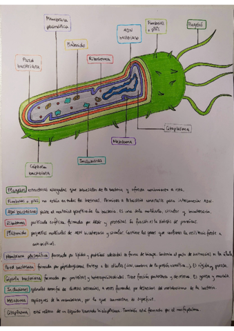 imgtopdf18012021121926.pdf