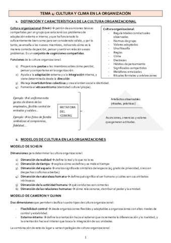 TEMA-4-organizaciones.pdf