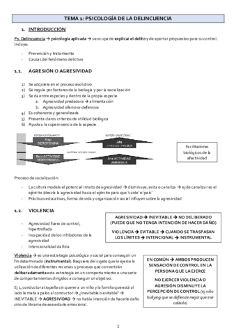TEMA1-Delincuencia.pdf