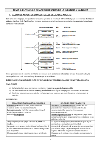 TEMA-6-VINCULACIONES.pdf