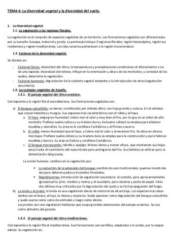 TEMA-4-La-diversidad-vegetal-y-suelovocabulario.pdf