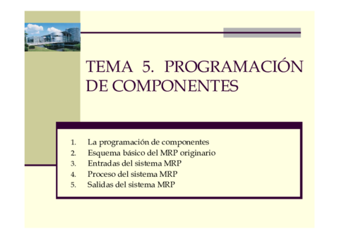 Tema 5.pdf