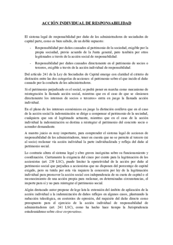 Accion-indivudual-de-responsabilidad.pdf