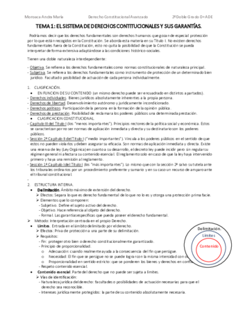 Tema-1-Consti.pdf