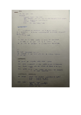 Formacio-i-accions-al-sol-.pdf