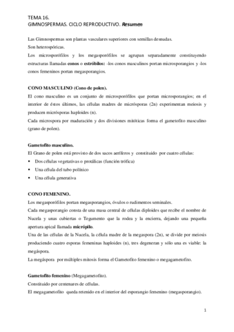 Resumen-Tema-16.pdf