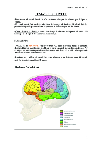 Apunts-Basica-II-AM.pdf