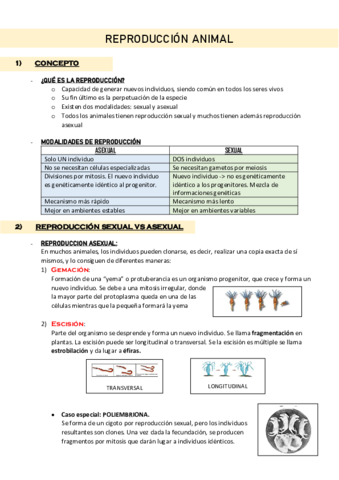 reproduccion-animal.pdf