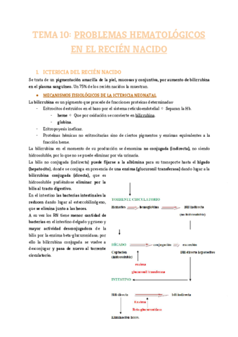 Tema-10.pdf