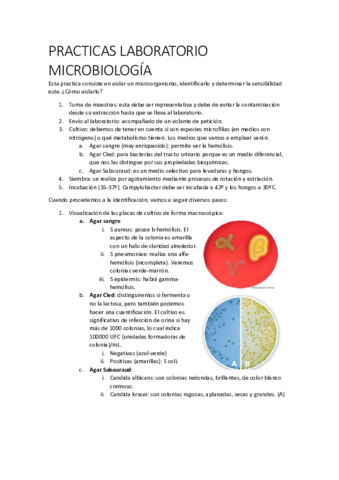 PRACTICAS-LABORATORIO.pdf